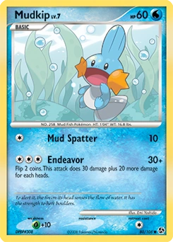 Mudkip Pokémon card, number 80