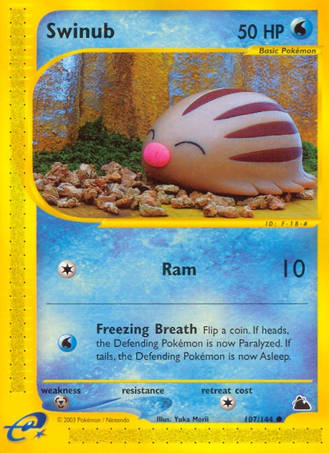 Swinub Pokémon card from Skyridge, number 107 (Standard print)