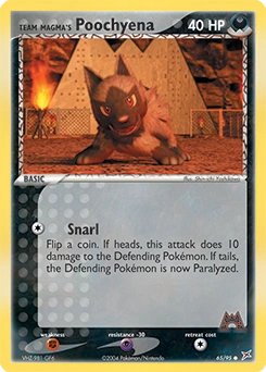 Team Magma's Poochyena Pokémon card, number 65