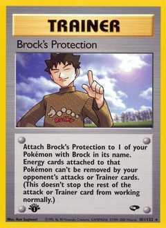 Brock's Protection Pokémon card, number 101