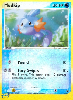 Mudkip Pokémon card, number 10