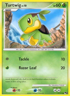 Turtwig Pokémon card, number 17